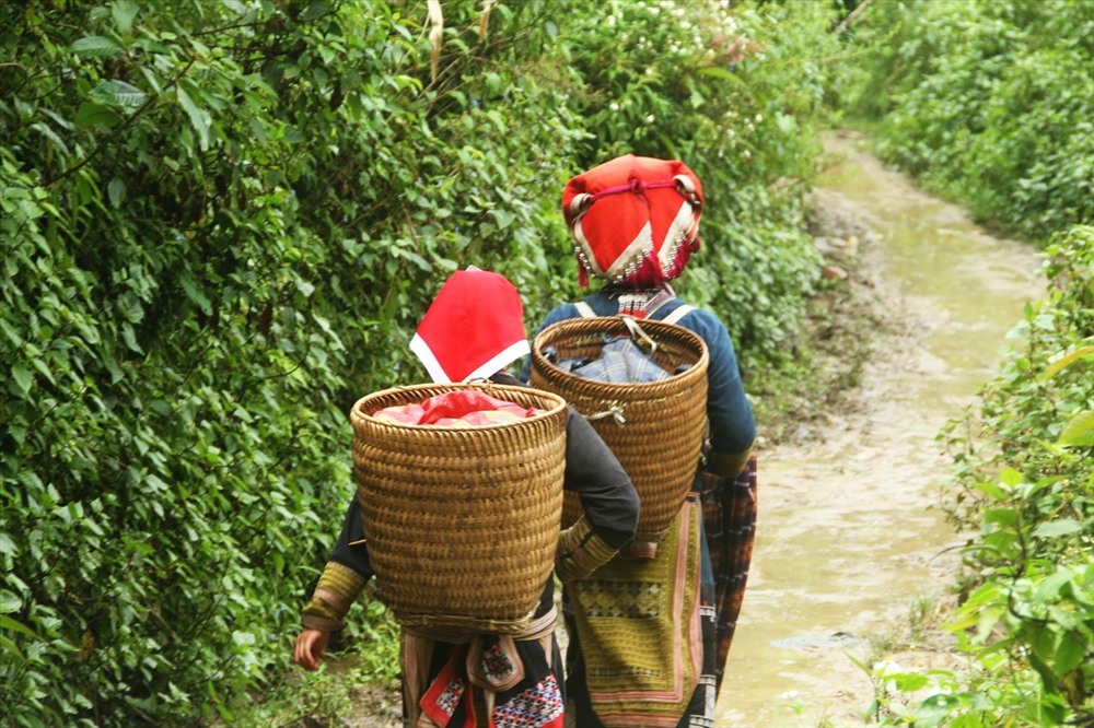 Vietnam Hiking Mountains